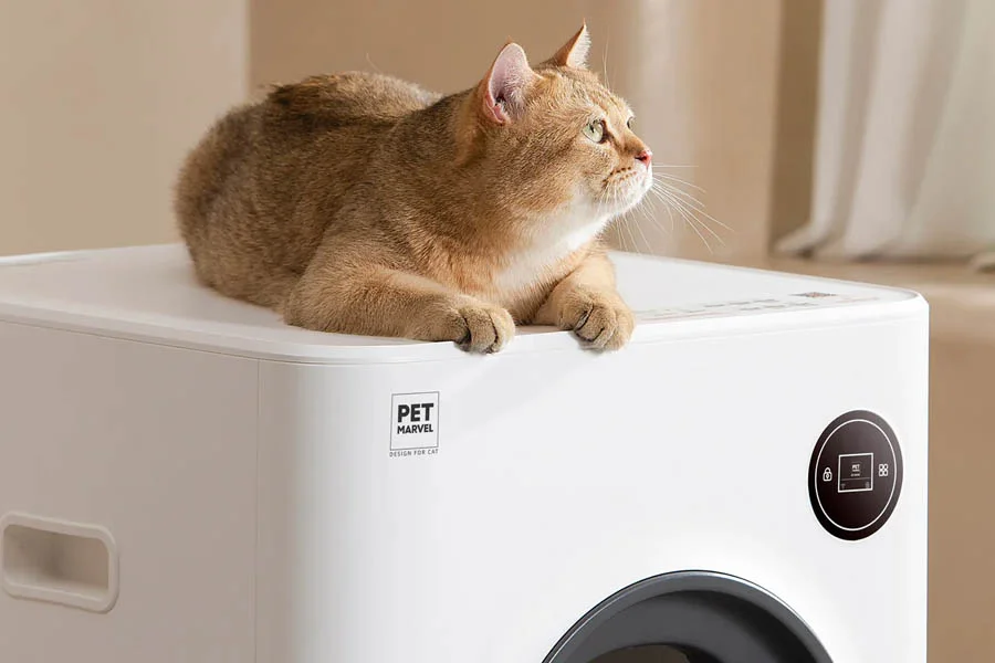 scoopfree cat box